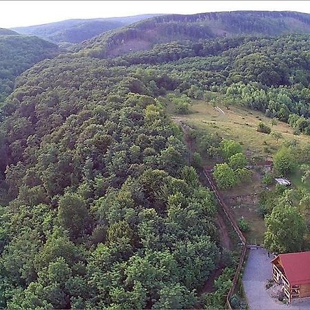 Творча Садиба Svalyava Esterno foto