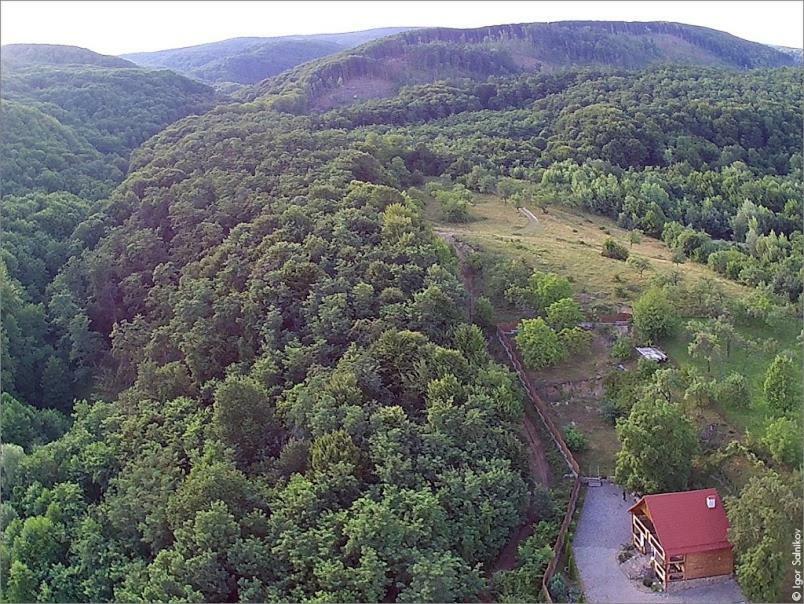 Творча Садиба Svalyava Esterno foto